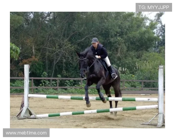 马术障碍超越竞技的速度力量与人马协作之美在现代体育舞台上的极限挑战